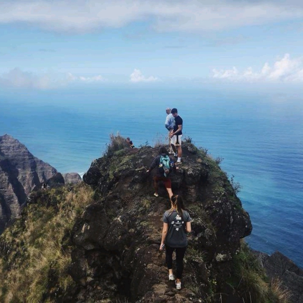 Meet your Posher, Miranda